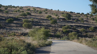 DSC00467.JPG