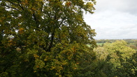 20191016_154706.JPG