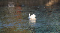 20191016_194426.JPG