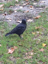 20191017_144420.JPG