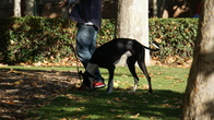 DSC04986.JPG