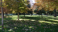 DSC05221.JPG