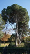DSC05246.JPG