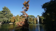 DSC05257.JPG