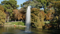 DSC05268.JPG