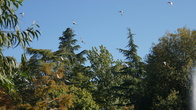 DSC05274.JPG
