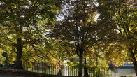 DSC05278.JPG