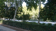 DSC05297.JPG