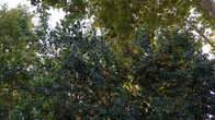DSC05304.JPG