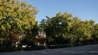 DSC05305.JPG
