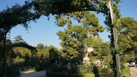 DSC05338.JPG