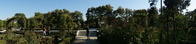 DSC05341.JPG