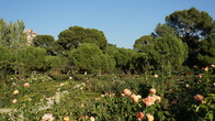 DSC05363.JPG