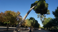 DSC05380.JPG