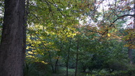 DSC05389.JPG