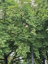 20260826_194232.JPG