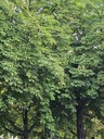 20260826_194242.JPG