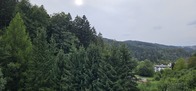 20260827_180407.JPG