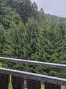 20260827_181058.JPG