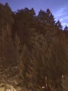 20260827_211212.JPG