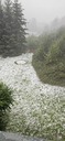 20260828_092953.JPG