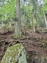 20260828_124757.JPG