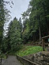 20260828_125359.JPG