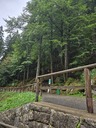 20260828_125401.JPG