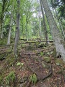 20260828_131336.JPG