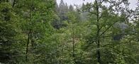 20260828_131520.JPG