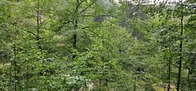 20260828_131523.JPG