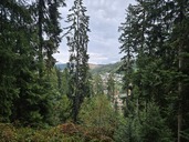 20260828_132505.JPG
