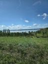 20260829_115629.JPG