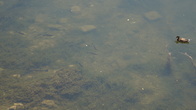 DSC01187.JPG