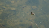 DSC01188.JPG