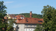DSC01194.JPG