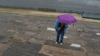 DSC01227.JPG