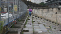 DSC01231.JPG