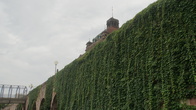 DSC01239.JPG