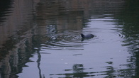 DSC01264.JPG