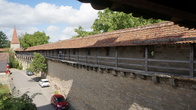 DSC01298.JPG