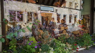 DSC01363.JPG