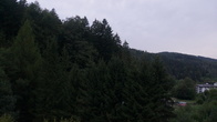 DSC01584.JPG