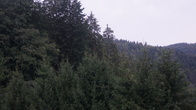 DSC01587.JPG