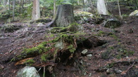 DSC01595.JPG
