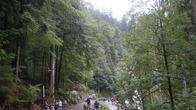 DSC01597.JPG