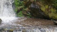 DSC01621.JPG