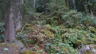DSC01625.JPG