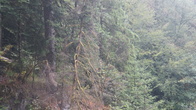 DSC01626.JPG