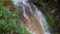 DSC01631.JPG